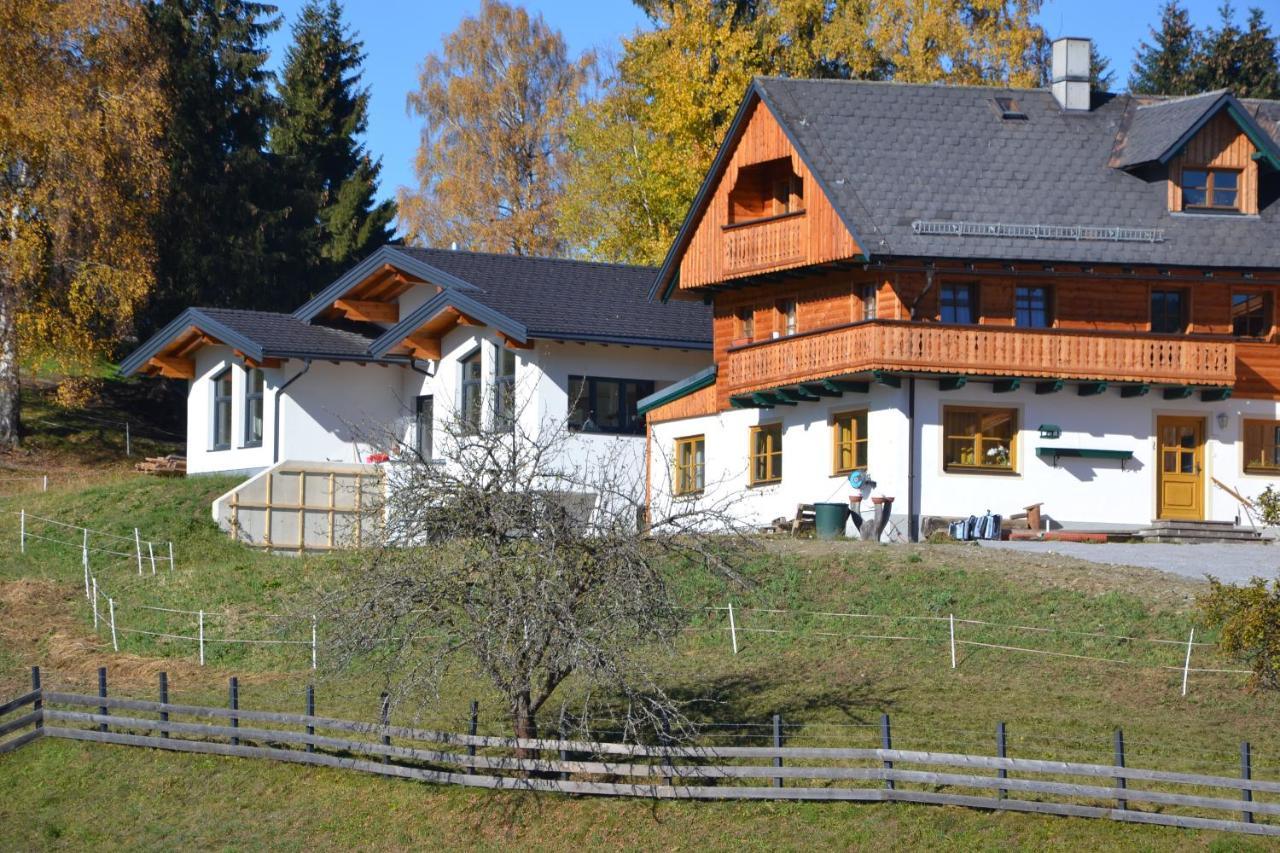 Appartement - Das Kleine Bleiberger By Schladmingurlaub المظهر الخارجي الصورة